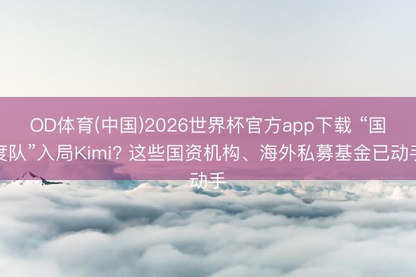 OD体育(中国)2026世界杯官方app下载 “国度队”入局Kimi? 这些国资机构、海外私募基金已动手