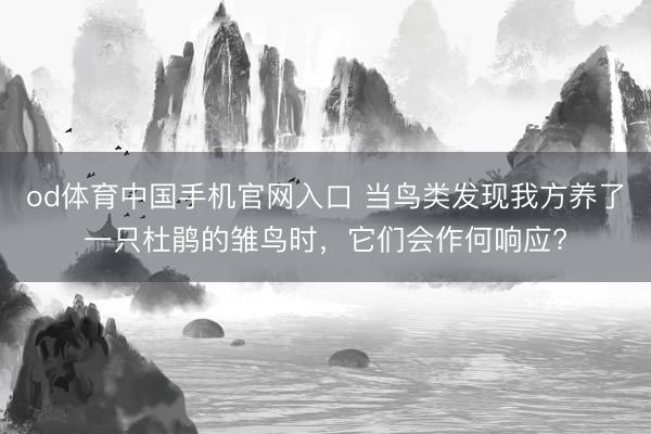 od体育中国手机官网入口 当鸟类发现我方养了一只杜鹃的雏鸟时，它们会作何响应?
