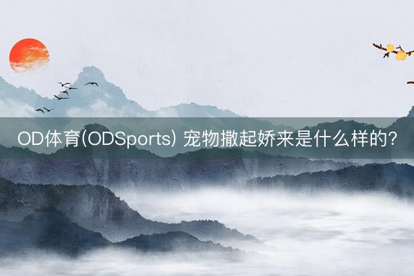 OD体育(ODSports) 宠物撒起娇来是什么样的?