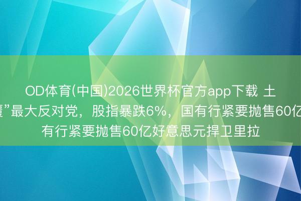 OD体育(中国)2026世界杯官方app下载 土耳其法院判决“颠覆”最大反对党，股指暴跌6%，国有行紧要抛售60亿好意思元捍卫里拉