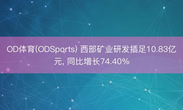 OD体育(ODSports) 西部矿业研发插足1