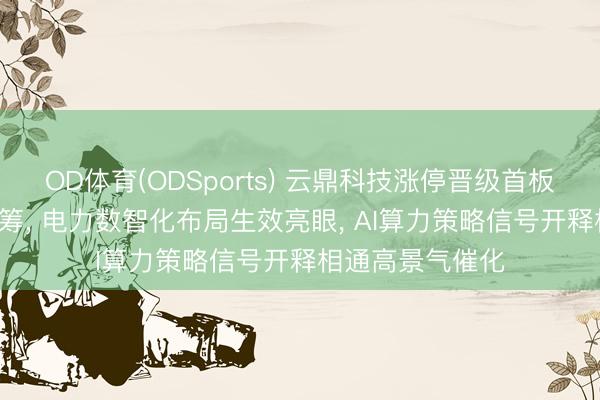OD体育(ODSports) 云鼎科技涨停晋级首板! 获资金大幅抢筹， 电力数智化布局生效亮眼， AI算力策略信号开释相通高景气催化