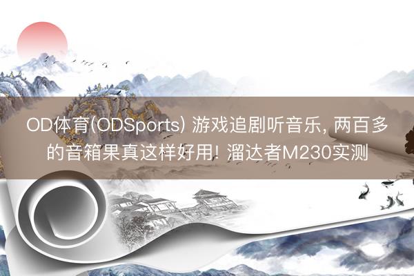OD体育(ODSports) 游戏追剧听音乐， 两百多的音箱果真这样好用! 溜达者M230实测