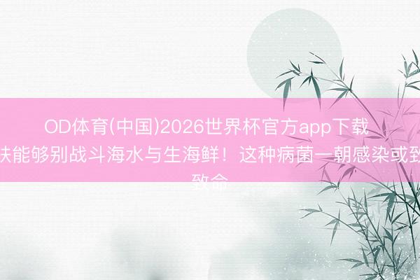 OD体育(中国)2026世界杯官方app下载 皮肤能够别战斗海水与生海鲜！这种病菌一朝感染或致命