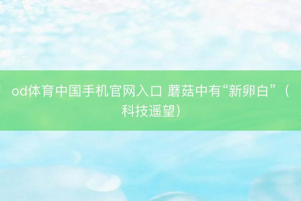 od体育中国手机官网入口 蘑菇中有“新卵白”(科技遥望)