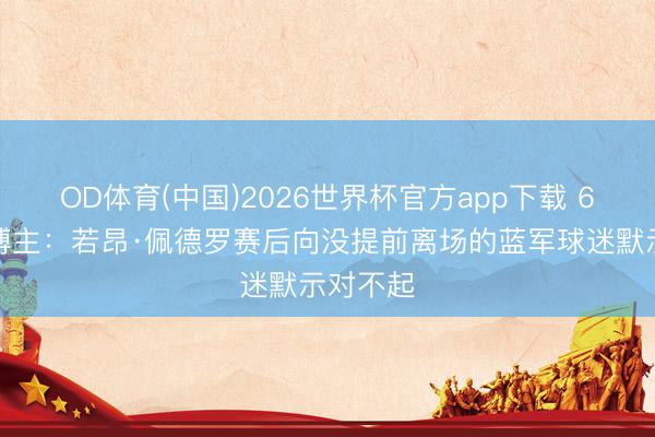 OD体育(中国)2026世界杯官方app下载 6连败，博主：若昂·佩德罗赛后向没提前离场的蓝军球迷默示对不起