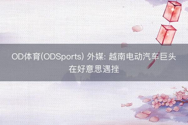 OD体育(ODSports) 外媒: 越南电动汽车巨头在好意思遇挫