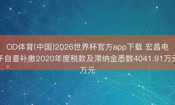 OD体育(中国)2026世界杯官方app下载 宏昌电子自查补缴2020年度税款及滞纳金悉数4041.91万元