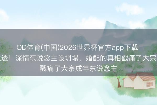 OD体育(中国)2026世界杯官方app下载 刘红兵绝对烂透！深情东说念主设坍塌，婚配的真相戳痛了大宗成年东说念主