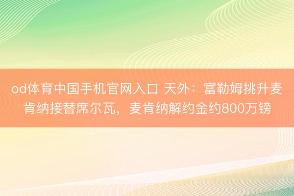 od体育中国手机官网入口 天外：富勒姆挑升麦肯纳接替席尔瓦，麦肯纳解约金约800万镑