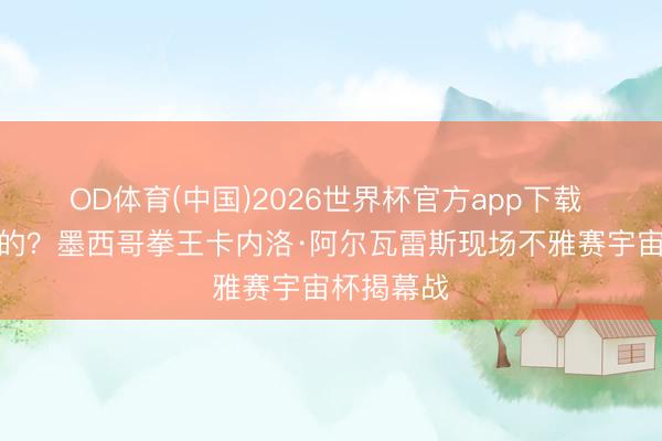 OD体育(中国)2026世界杯官方app下载 拳王影响的？墨西哥拳王卡内洛·阿尔瓦雷斯现场不雅赛宇宙杯揭幕战
