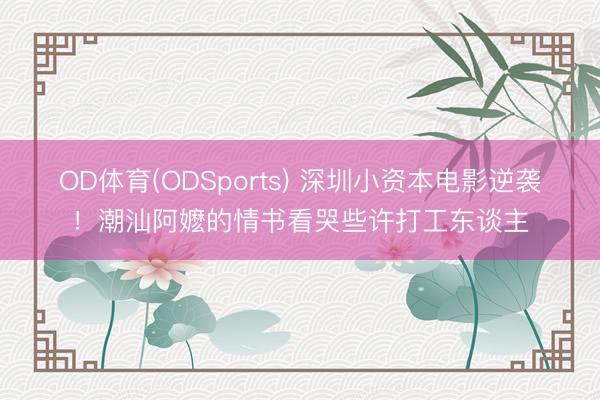OD体育(ODSports) 深圳小资本电影逆袭！潮汕阿嬷的情书看哭些许打工东谈主