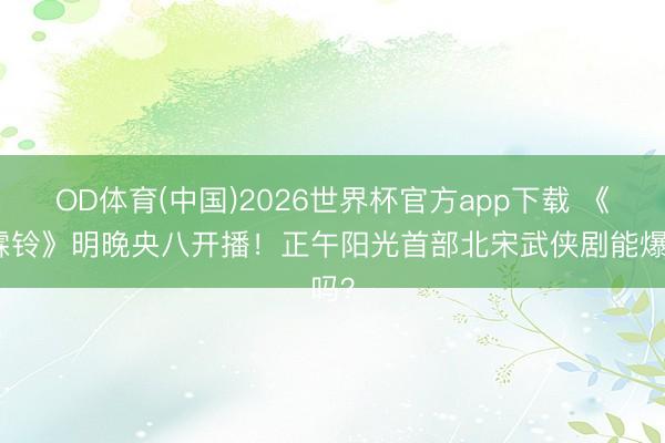 OD体育(中国)2026世界杯官方app下载 《雨霖铃》明晚央八开播！正午阳光首部北宋武侠剧能爆吗？