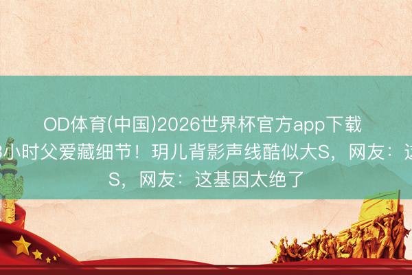 OD体育(中国)2026世界杯官方app下载 汪小菲陪画3小时父爱藏细节!玥儿背影声线酷似大S,网友:这基因太绝了