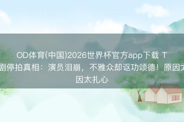 OD体育(中国)2026世界杯官方app下载 TVB神剧停拍真相：演员泪崩，不雅众却讴功颂德！原因太扎心