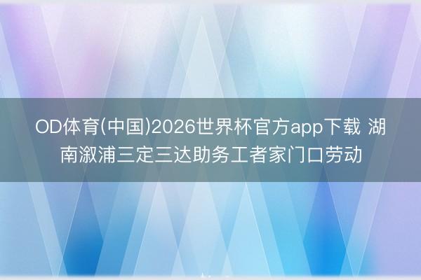OD体育(中国)2026世界杯官方app下载 湖南溆浦三定三达助务工者家门口劳动