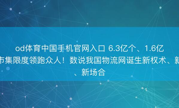 od体育中国手机官网入口 6.3亿个、1.6亿吨，市集限度领跑众人！数说我国物流网诞生新权术、新场合