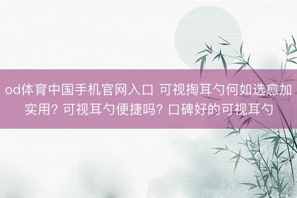 od体育中国手机官网入口 可视掏耳勺何如选愈加实用? 可视耳勺便捷吗? 口碑好的可视耳勺