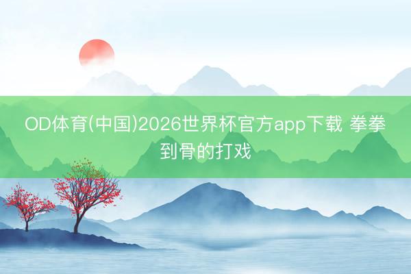 OD体育(中国)2026世界杯官方app下载 拳拳到骨的打戏