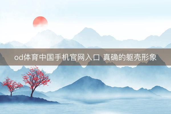 od体育中国手机官网入口 真确的躯壳形象