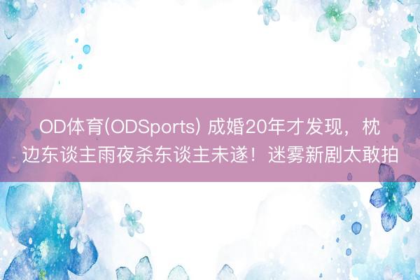 OD体育(ODSports) 成婚20年才发现，枕边东谈主雨夜杀东谈主未遂！迷雾新剧太敢拍