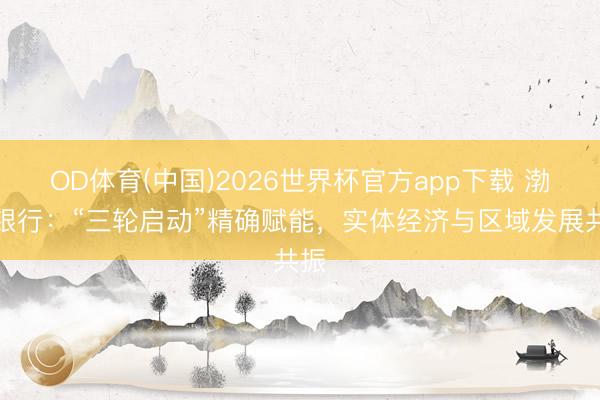 OD体育(中国)2026世界杯官方app下载 渤海银行：“三轮启动”精确赋能，实体经济与区域发展共振