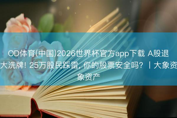 OD体育(中国)2026世界杯官方app下载 A股退市大洗牌! 25万股民踩雷， 你的股票安全吗? 丨大象资产