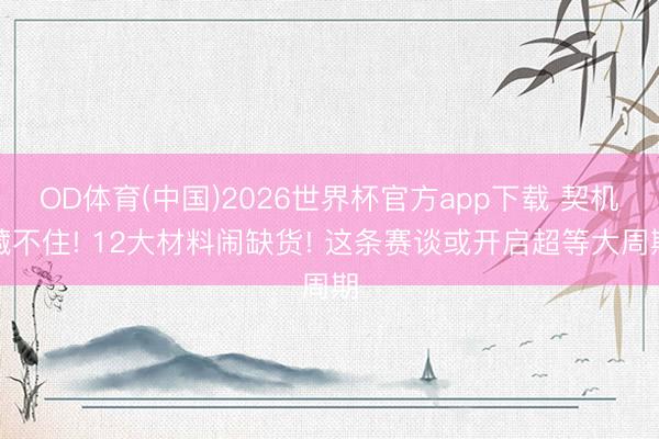 OD体育(中国)2026世界杯官方app下载 契机藏不住! 12大材料闹缺货! 这条赛谈或开启超等大周期