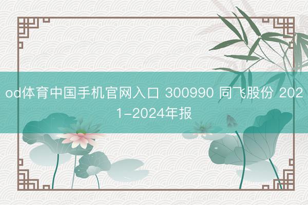 od体育中国手机官网入口 300990 同飞股份 2021-2024年报